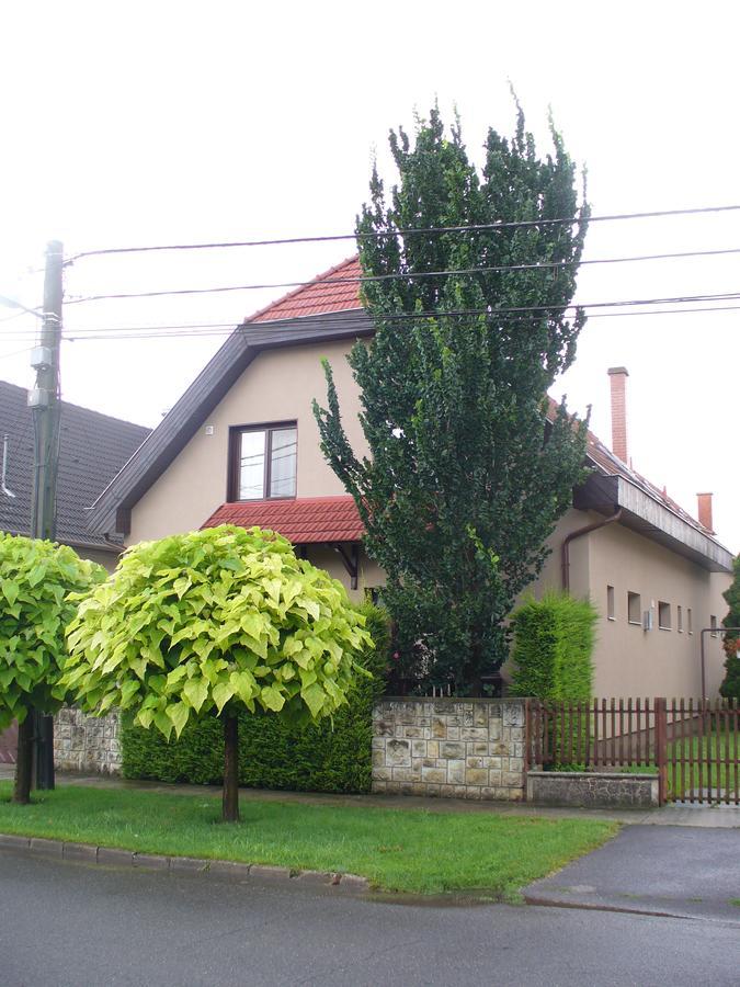 Arnika Vendeghaz Apartment Hajduszoboszlo Ngoại thất bức ảnh